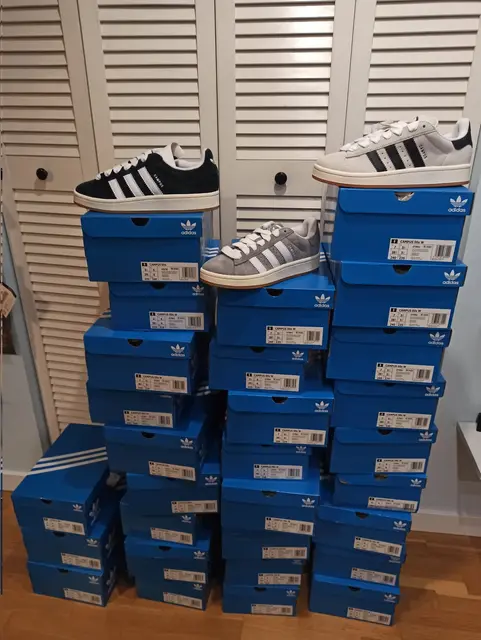 Adidas Campus pairs on top of a wall of blue boxes