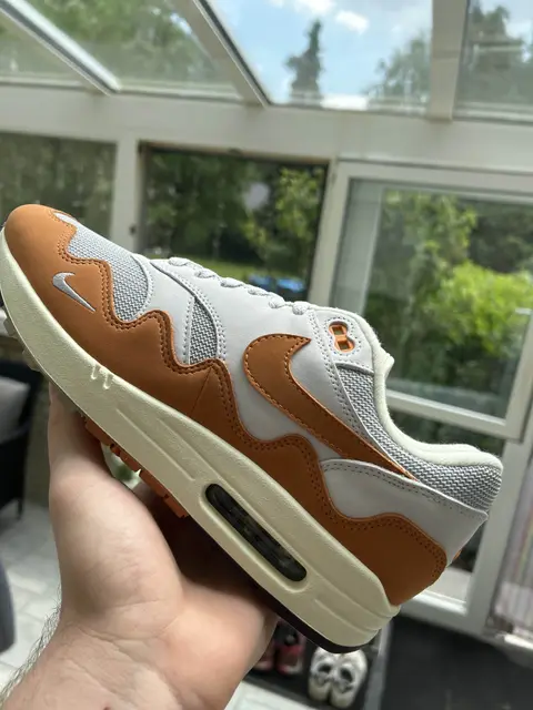 Nike Air Max 1 held up in a sunroom